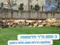 בית פרטי למכירה בצפון בגליל.